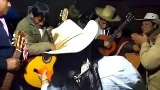 Chetilla 2019