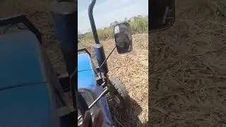 Dal Nagar Farm #kisan_ekta_jindabad #nofarmersnofood  #farmerlife #jattlife  #sonalika_60