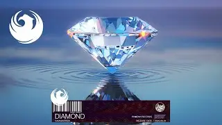 SamMaverick - Diamond | Official Music Video