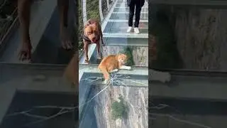 so funny #viral #trending #short