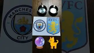 ⚽️😺 Oracle Cat predicts Man City vs. Aston Villa 1:2 #PremierLeague #OracleCat