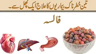 Falsa Fruit Benefits and Disadvantages// Falsa Ke Fayde Aur Nuksan //How To Use False In Urdu