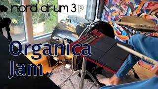 Nord Drum 3P - Organica Jam