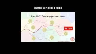 Лимон укрепляет вены #сердечнососудистаясистема #лимон