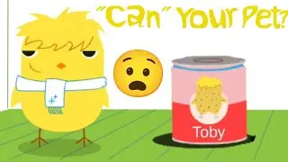 Can Your Pet? | Would you like to 