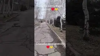 16 февраля 2026 г.