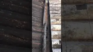 Solution to sealing a rusty box gutter