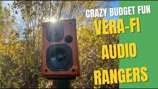 Безумно бюджетные колонки: колонки Vera-Fi Audio Ranger