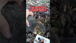 Will B12 Help W/The Balance? The Sloth Squirrel 103125