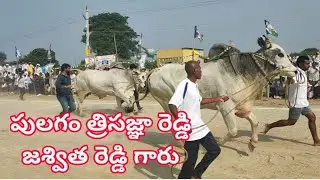 5.పులగం త్రిసజ్ఞా రెడ్డి  జశ్విత రెడ్డి గారు సీనియర్ ఎడ్ల బలప్రదర్శన.. ...karampudi