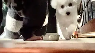 突然歩けなくなり生活が困窮してます