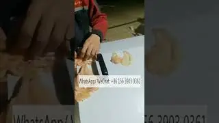 Automatic chicken breast cutting slicer fresh meat pork belly beef mutton slicing cutting machine