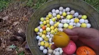 Golf Ball Carving: Basketball I Think