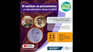 El nucleolo en procariontes: un descubrimiento desde la UNAM