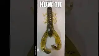 How To  Texas Rig A Craw #shorts #mybloopers #howto