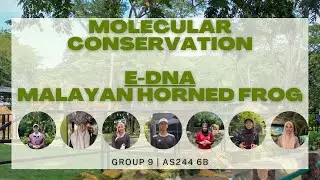 Molecular Conservation with eDNA: Saving the Malayan Horned Frog