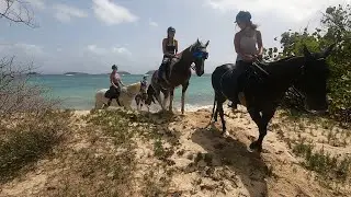 Mustique 2021