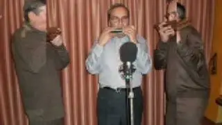 Trio Polifonic harmonica - De ce Omul cat traieste
