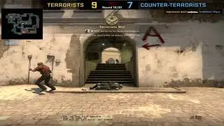 broken by yellow sunflower #XVAP #RNGMASTER