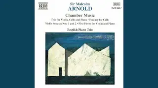 Violin Sonata No. 1, Op. 15: I. Allegretto