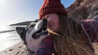 Husky At The Beach Photography and Zoomies