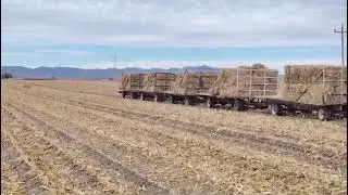 Pulling 10 Wagons of Hay Bales with a Tractor &mdash; Full Power Farm Work! 🚜💪