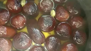 Super tasty gulab jamun banane ki recipe Sanjana shop Date 29/1/2026@sssssl2445