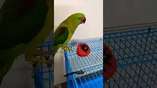 tuity #shorts #shortsvideo #trending #youtubeshorts #foryou
