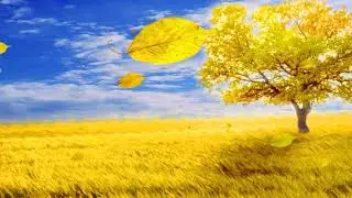 Video Background Stock Footage Free ( tree deciduous wind blowing fall season dynamic )