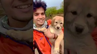 Free dog adoption | cute puppy 😍🥰🐾 #shorts #dogshorts #puppy #minivlog