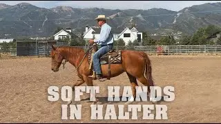Soft Hands in Halter