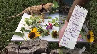 30 word love poem for Bella
