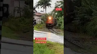 #shortsvideo #ferrovia #train #railway #rffsa #redeferroviariafederal #trem #rumo #jaraguadosul
