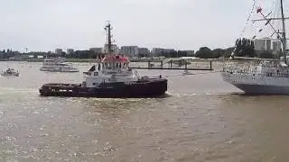 Antwerpen Tall ships race 2016: Dar Mlodziezy leaving port