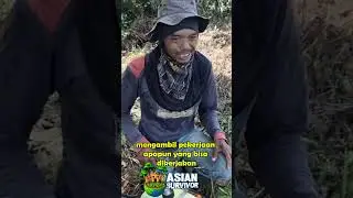 PETANI TRANSMIGRASI SUNDA DI KALIMANTAN