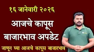 कापूस भाव आजचे | १६ जानेवारी २०२६ कापूस बाजारभाव | आजचे कापूस भाव | kapus bhav today | कापास