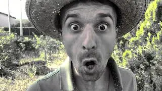 La Mia Faraona Mi Ha Rovinato La Vita