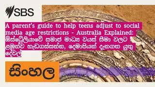 A parent&rsquo;s guide to help teens adjust to social media age restrictions - Australia Explained:...