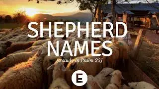 Shepherd Names 