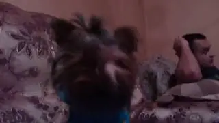 Мыкы