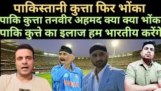 Pakistani dog tanveer cheats on harbhajan singh #harbhajansingh  #tanveerahmad #latestcricketupdate