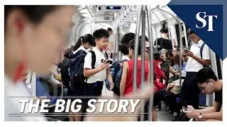 THE BIG STORY: Public transport fare review | The Straits Times