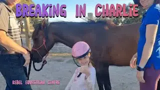 Breaking in Charlie (Part 1) - Slow, Kind, Confident Horsemanship