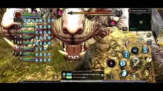 Dragon Nest ROL SDN S4 Paladin