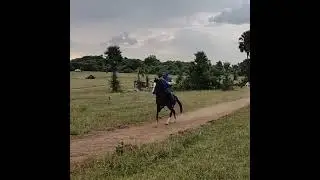 Babu Antony Riding horse during Shoot Break | Appol Arinjo