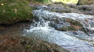 Stream Sounds for Sleeping - No Birds - Relaxing Nature Video - Water Flowing