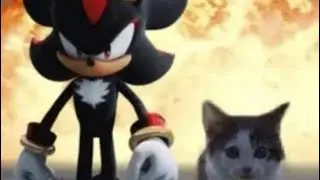 3D Animation Final Project - Shadow The Hedgehog (7 animation Show reel)
