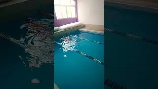 Palmeteos para mejorar la brazada en el estilo #dorso / #natacion  / #swimming / #terme