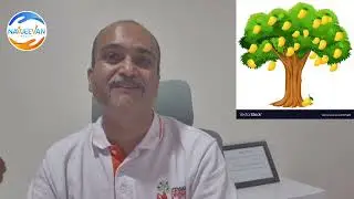 Power Of Compounding For Children?  V 175