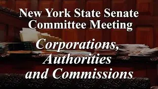 Senate Standing Committee on Corporations, Authorities and Commissions - 03/25/2025